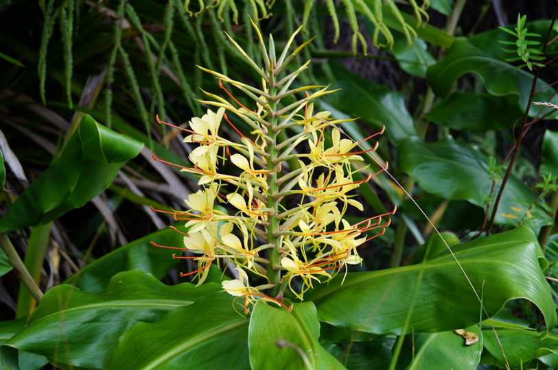 Uma Manhã Gloriosa (Morning Glory)